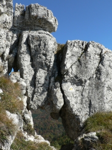Názov súboru=OT07.JPG
Veľkosť súboru=755KB
Veľkosť=648x864
Dátum pridania=04. Október 2010 OT07.JPG