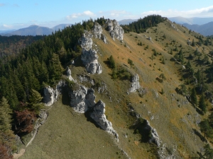 Názov súboru=OT13.JPG
Veľkosť súboru=1179KB
Veľkosť=1152x864
Dátum pridania=04. Október 2010 OT13.JPG