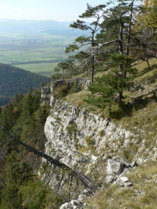 Názov súboru=OT23.JPG
Veľkosť súboru=809KB
Veľkosť=648x864
Dátum pridania=04. Október 2010 OT23.JPG