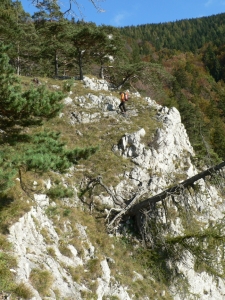 Názov súboru=OT24.JPG
Veľkosť súboru=848KB
Veľkosť=648x864
Dátum pridania=04. Október 2010 OT24.JPG