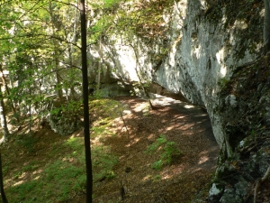 Názov súboru=OT28.jpg
Veľkosť súboru=1194KB
Veľkosť=1152x864
Dátum pridania=04. Október 2010 OT28.jpg