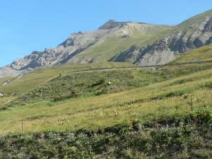 Názov súboru=Lautaret11.JPG
Veľkosť súboru=1287KB
Veľkosť=1152x864
Dátum pridania=19. August 2010 Lautaret11.JPG
