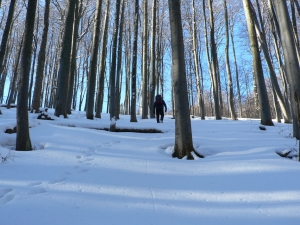 Názov súboru=Rakyt02.JPG
Veľkosť súboru=1206KB
Veľkosť=1152x864
Dátum pridania=30. Január 2011 Rakyt02.JPG
