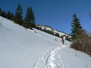 Názov súboru=Rakyt03.JPG
Veľkosť súboru=1021KB
Veľkosť=1152x864
Dátum pridania=30. Január 2011 Rakyt03.JPG