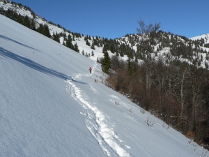 Názov súboru=Rakyt05.JPG
Veľkosť súboru=1086KB
Veľkosť=1152x864
Dátum pridania=30. Január 2011 Rakyt05.JPG