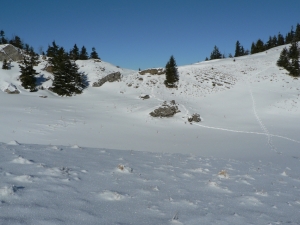 Názov súboru=Rakyt08.jpg
Veľkosť súboru=760KB
Veľkosť=1152x864
Dátum pridania=30. Január 2011 Rakyt08.jpg