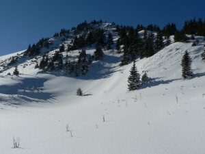 Názov súboru=Rakyt09.JPG
Veľkosť súboru=990KB
Veľkosť=1152x864
Dátum pridania=30. Január 2011 Rakyt09.JPG
