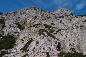 Názov súboru=Rax_21.JPG
Veľkosť súboru=1543KB
Veľkosť=1296x864
Dátum pridania=08. September 2015 Rax_21.JPG