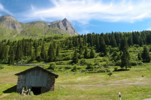 Názov súboru=San_Bernardino_01.JPG
Veľkosť súboru=1353KB
Veľkosť=1296x864
Dátum pridania=29. December 2015 San_Bernardino_01.JPG