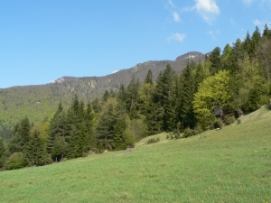 Názov súboru=Sip04.JPG
Veľkosť súboru=1135KB
Veľkosť=1152x864
Dátum pridania=10. Máj 2011 Sip04.JPG