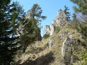 Názov súboru=Sip17.JPG
Veľkosť súboru=1455KB
Veľkosť=1152x864
Dátum pridania=10. Máj 2011 Sip17.JPG