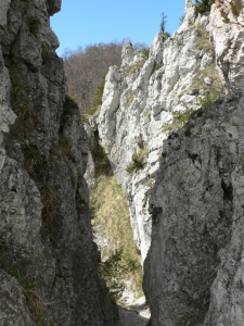 Názov súboru=Sip18.JPG
Veľkosť súboru=724KB
Veľkosť=648x864
Dátum pridania=10. Máj 2011 Sip18.JPG