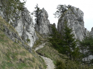 Názov súboru=Sip20.JPG
Veľkosť súboru=1234KB
Veľkosť=1152x864
Dátum pridania=10. Máj 2011 Sip20.JPG