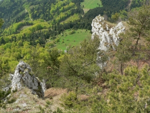 Názov súboru=Sip24.jpg
Veľkosť súboru=1201KB
Veľkosť=1152x864
Dátum pridania=10. Máj 2011 Sip24.jpg