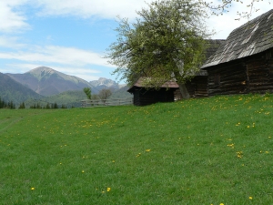 Názov súboru=Sip26.JPG
Veľkosť súboru=1228KB
Veľkosť=1152x864
Dátum pridania=10. Máj 2011 Sip26.JPG