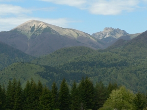 Názov súboru=Sip28.JPG
Veľkosť súboru=945KB
Veľkosť=1152x864
Dátum pridania=10. Máj 2011 Sip28.JPG