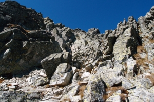 Názov súboru=Sirveza19.JPG
Veľkosť súboru=1512KB
Veľkosť=1296x864
Dátum pridania=29. September 2011 Sirveza19.JPG