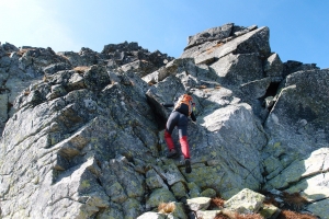 Názov súboru=Sirveza35.JPG
Veľkosť súboru=1456KB
Veľkosť=1296x864
Dátum pridania=29. September 2011 Sirveza35.JPG
