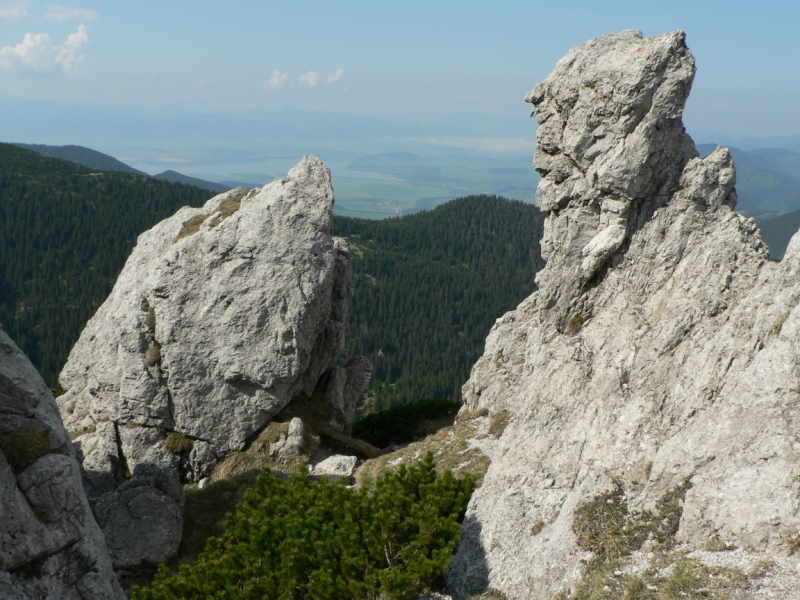 Kliknite pre zobrazenie veľkého obrázka