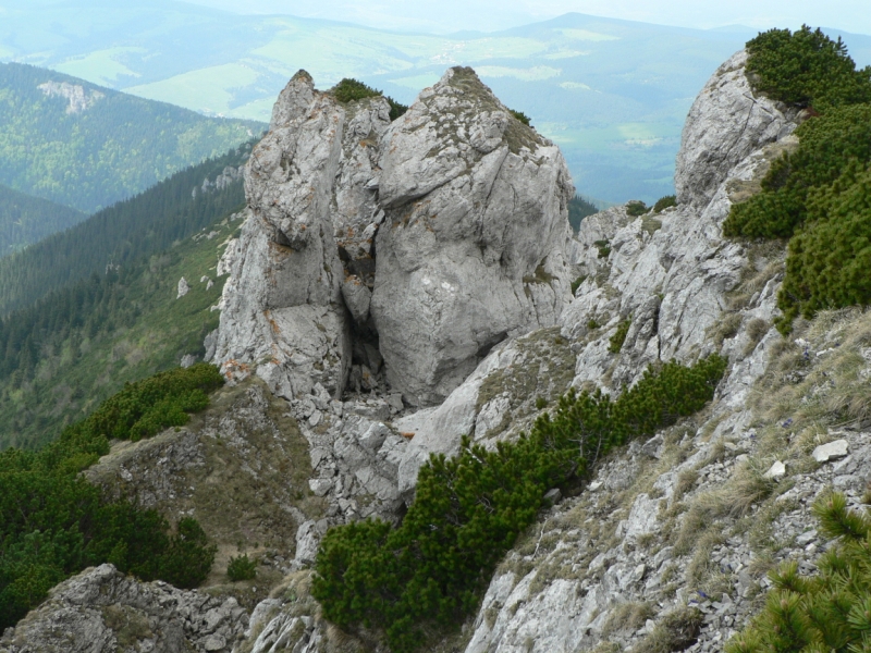 Kliknite pre zobrazenie veľkého obrázka