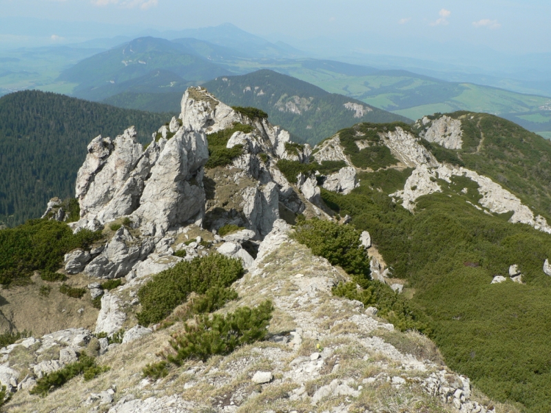 Kliknite pre zobrazenie veľkého obrázka