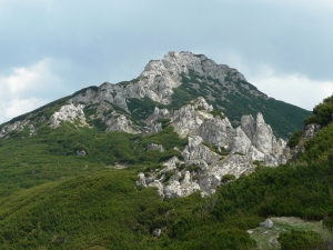 SV01.jpg