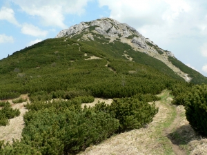 Názov súboru=SV02.jpg
Veľkosť súboru=1004KB
Veľkosť=1152x864
Dátum pridania=02. Jún 2011 SV02.jpg