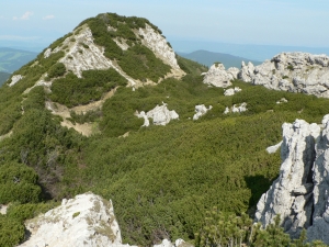 Názov súboru=SV06.JPG
Veľkosť súboru=1294KB
Veľkosť=1152x864
Dátum pridania=02. Jún 2011 SV06.JPG