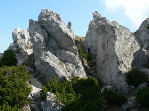 Názov súboru=SV08.JPG
Veľkosť súboru=1126KB
Veľkosť=1152x864
Dátum pridania=02. Jún 2011 SV08.JPG