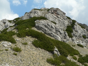 Názov súboru=SV26.JPG
Veľkosť súboru=1286KB
Veľkosť=1152x864
Dátum pridania=02. Jún 2011 SV26.JPG