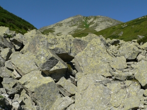 Názov súboru=Skriniarky02.JPG
Veľkosť súboru=1261KB
Veľkosť=1152x864
Dátum pridania=13. August 2011 Skriniarky02.JPG