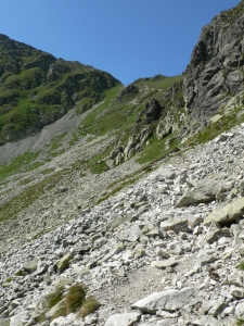 Názov súboru=Skriniarky05.JPG
Veľkosť súboru=791KB
Veľkosť=648x864
Dátum pridania=13. August 2011 Skriniarky05.JPG