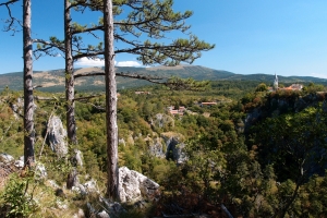 Názov súboru=B_07.JPG
Veľkosť súboru=1089KB
Veľkosť=1296x864
Dátum pridania=22. September 2016 B_07.JPG