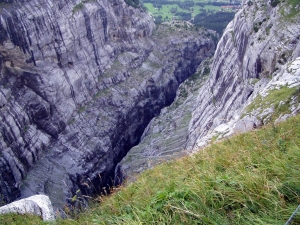 S4030.jpg