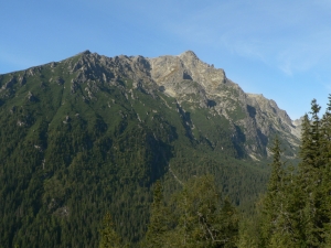 P1040004.jpg