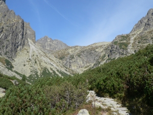 P1040010.jpg
