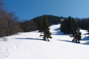 Názov súboru=VelkofatrKlak_05.jpg
Veľkosť súboru=668KB
Veľkosť=1296x864
Dátum pridania=18. Marec 2012 VelkofatrKlak_05.jpg