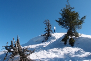 Názov súboru=VelkofatrKlak_09.JPG
Veľkosť súboru=1093KB
Veľkosť=1296x864
Dátum pridania=18. Marec 2012 VelkofatrKlak_09.JPG