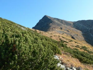 KRIV005_1.JPG