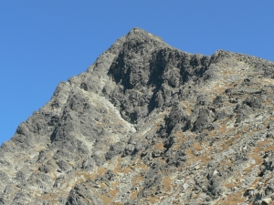 KRIV007_2.JPG