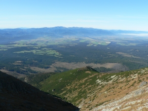 KRIV012_1.JPG