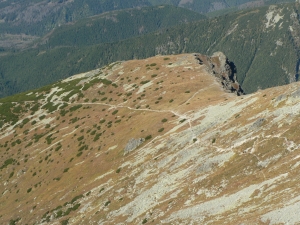 KRIV014_1.JPG