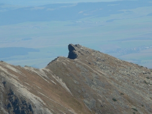 KRIV017_5.JPG