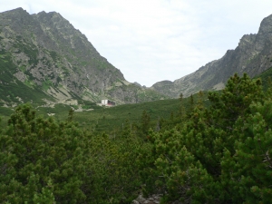 Názov súboru=vv1.jpg
Veľkosť súboru=472KB
Veľkosť=1152x864
Dátum pridania=05. Júl 2007 vv1.jpg