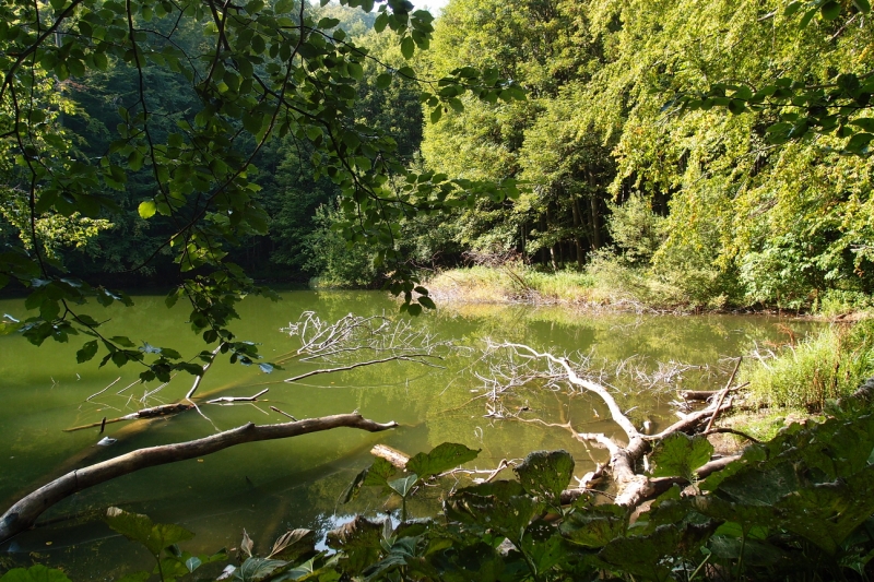 Kliknite pre zobrazenie veľkého obrázka