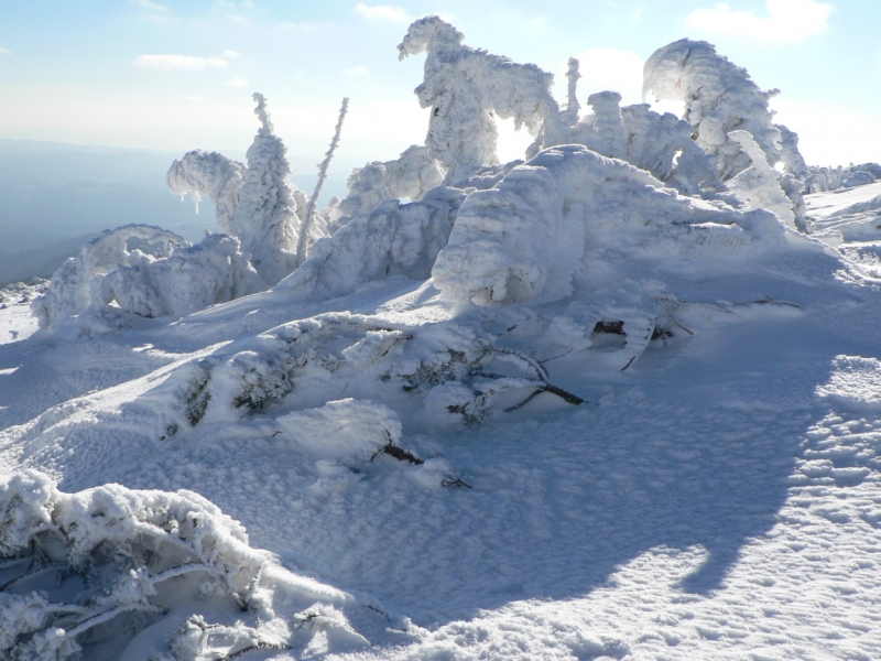 Kliknite pre zobrazenie veľkého obrázka