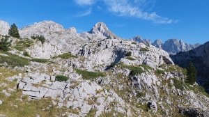 Názov súboru=1C_Harapit_8.jpg
Veľkosť súboru=3937KB
Veľkosť=4624x2604
Dátum pridania=28. September 2024 1C_Harapit_8.jpg