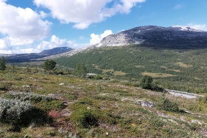 Názov súboru=1G_20220830_114807_cesta_Aurlandsvegen_orez.jpg
Veľkosť súboru=1228KB
Veľkosť=1296x864
Dátum pridania=28. September 2022 1G_20220830_114807_cesta_Aurlandsvegen_orez.jpg