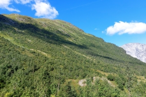 1H_20220831_100641_orez.jpg