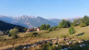 Názov súboru=1H_Gusinje_2.jpg
Veľkosť súboru=3744KB
Veľkosť=4624x2604
Dátum pridania=28. September 2024 1H_Gusinje_2.jpg